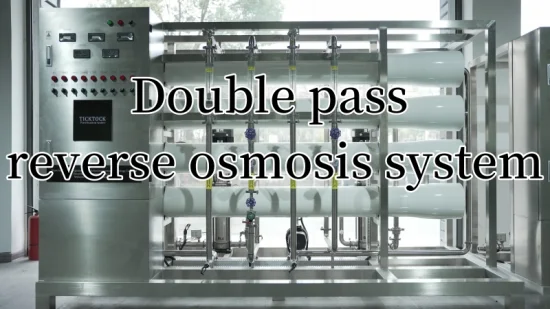 EDI+RO Direct Drinking Water Treatment Equipment Purifier Filter Reverse Osmosis Plant